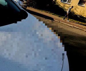 Hanau. Swastyki z ludzkiej krwi na 50 samochodach [ZDJĘCIA].