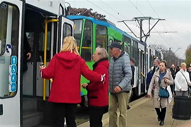 Dzień Wszystkich Świętych na Cmentarzu Centralnym w Szczecinie