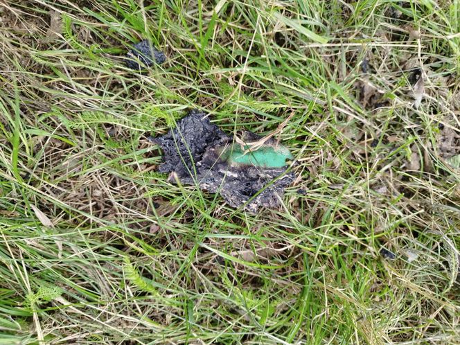 Ślady zbrodni na drodze, spalone ubrania ofiary spod Grójca. Sąsiedzi: "Myśleliśmy, że to mafijne porachunki"