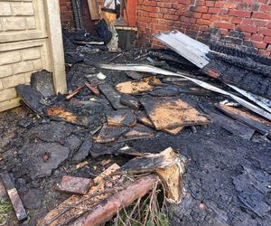 Zatrzymano podpalacza komórek lokatorskich przy Sienkiewicza w Lesznie