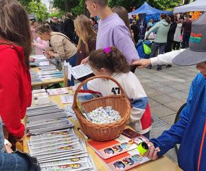 Bielsko-Biała. Zajaki po raz drugi opanują miasto. Tym razem zwrócą uwagę na problem przemocy rówieśniczej