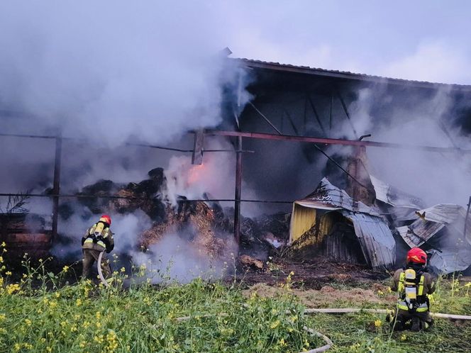 Pożar w Andrzejkach. Strażacy walczyli o uratowanie zwierząt i domu