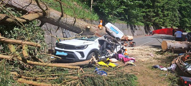 Tragiczny wypadek w Karkonoszach! Drzewo spadło na jadący samochód. Zginęły dwie kobiety i chłopiec