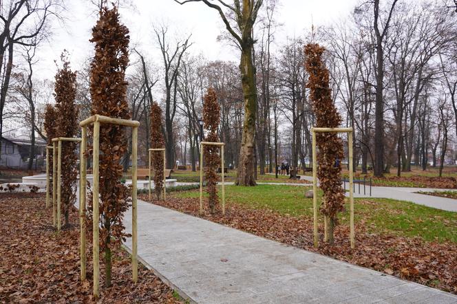 Żory. Nowy wygląd Parku Staromiejskiego. Miejsce przeszło ogromną metamorfozę ZDJĘCIA