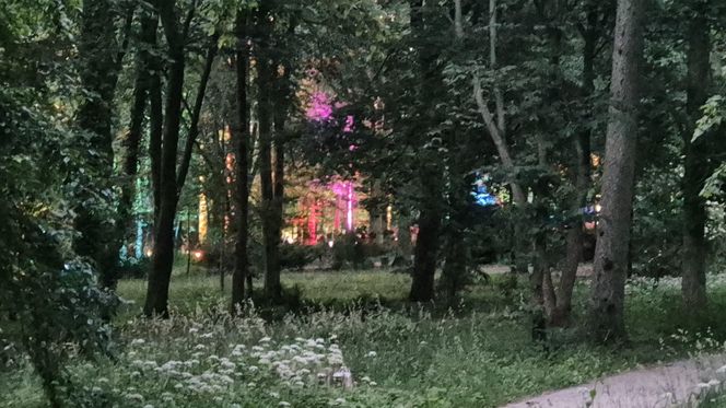Olsztyn zamienił się w magiczną krainę. Park Świateł przyciągnął tłumy!