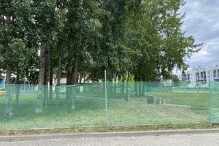 Park Lawendowy w Białymstoku