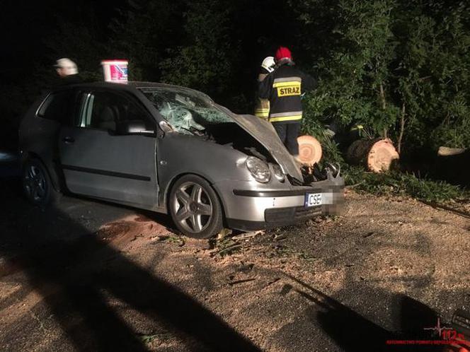 Drzewo runęło na jadący samochód w regionie! Jedna osoba poszkodowana [ZDJĘCIA]