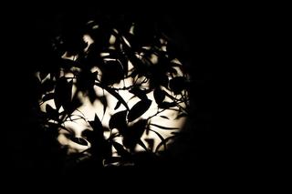 Bajkowa pełnia Księżyca w Rabskiej Dolinie