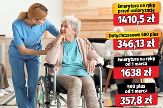 500 plus dla seniorów