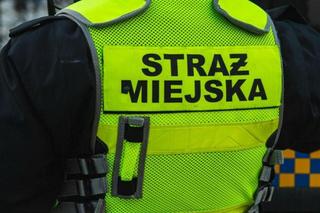 Śląskie: Zwyzywał strażników miejskich z Katowic. Teraz musi im za to zapłacić. Kwota powala