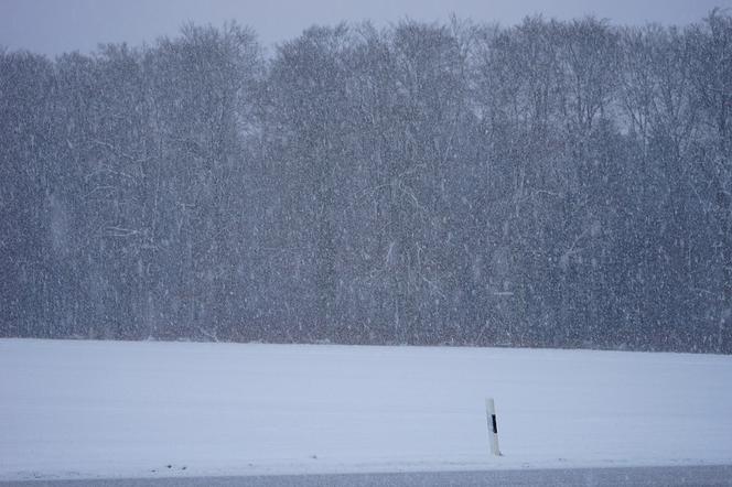 Intensywne opady śniegu na Podkarpaciu, zdj. ilustracyjne