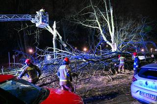 Zniszczenia po przejściu wichury