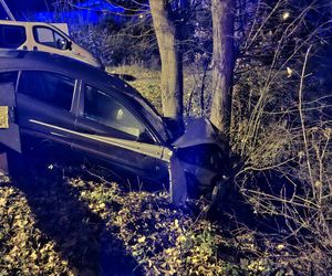 Szalony rajd pijanego kierowcy w Brodach. Uszkodził trzy auta, skończył na drzewie