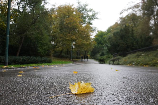 Ogród Saski w Lublinie w jesiennej odsłonie