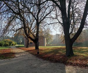 Zamojski Park jesienią