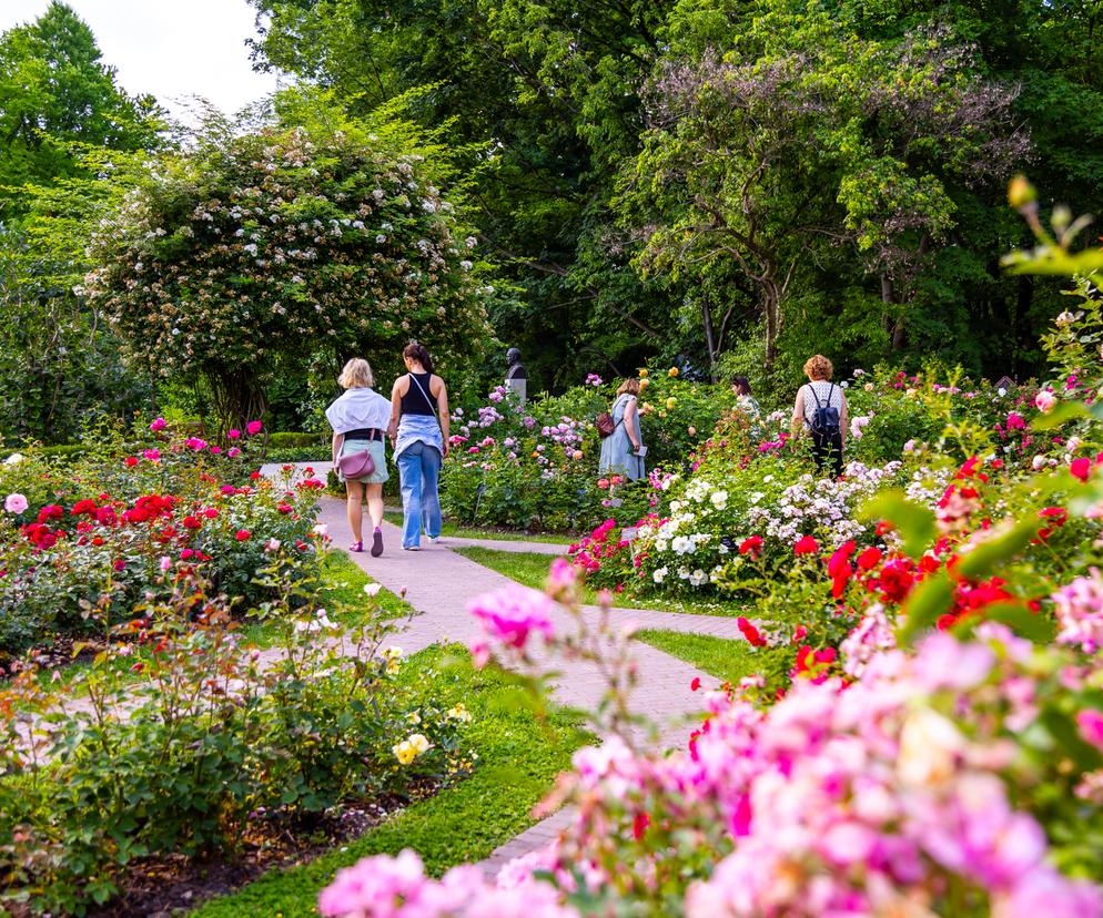 7 najładniejszych ogrodów botanicznych w Polsce. Kiedy je odwiedzić i gdzie są?