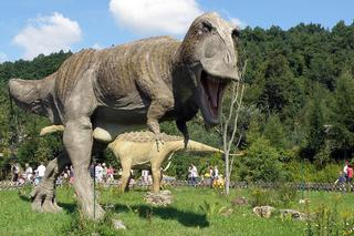 Dinozaury w Polsce. Najlepsze parki dinozaurów w Polsce. Gdzie żyły polskie dinozaury?