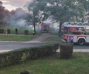 Pożar mieszkania przy ul. Kalinowej w Zabrzu