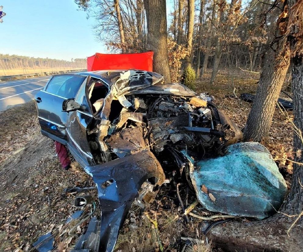 Śmiertelny wypadek niedaleko Puław. 32-letni kierowca uderzył w drzewo