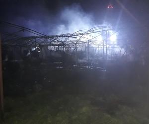 Ogromny pożar hal w Czaczu. Przyczyną było podpalenie?