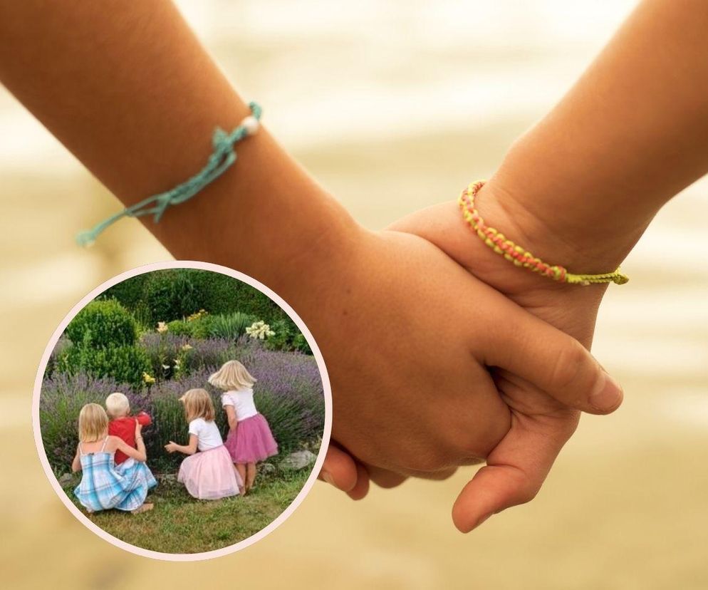 Ania, Jadzia, Ola i Robuś szukają domu. „Rodzeństwa często nie mają szans”