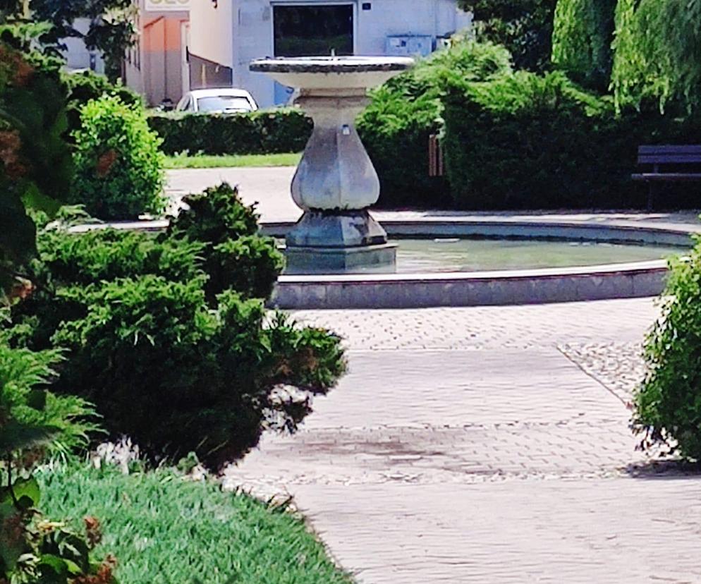 Zielony Rynek w Pińczowie