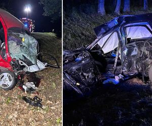 Śmiertelny wypadek pod Miliczem. 18-latek nie żyje [ZDJĘCIE]. 