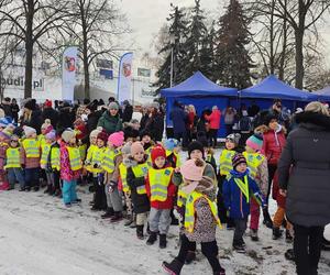 Ubieranie miejskiej choinki w Lesznie