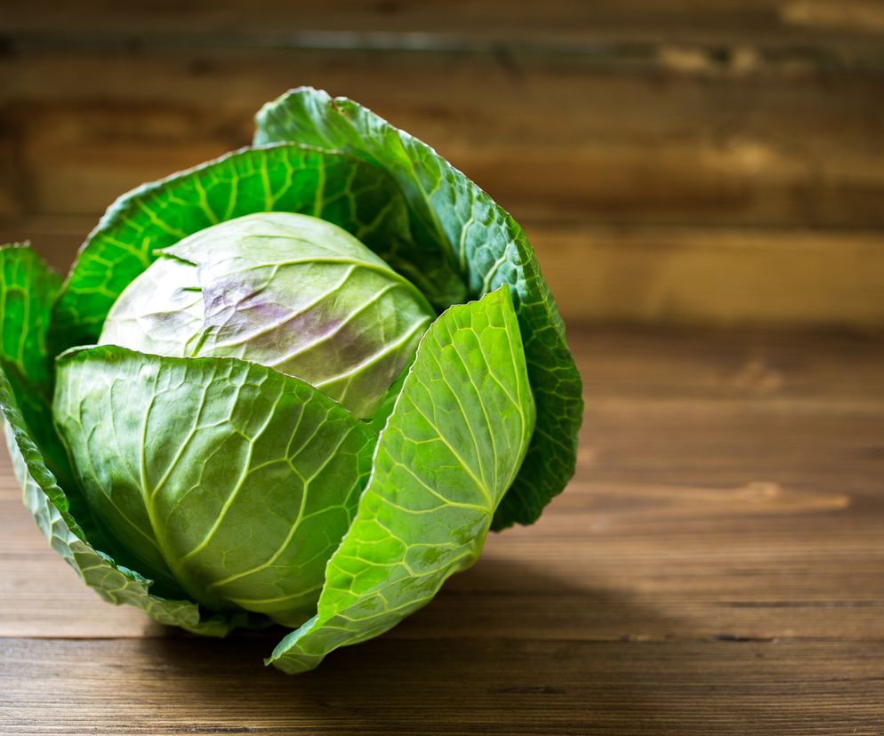 Co zrobić z kapusty? 10 przepisów na potrawy z białą kapustą