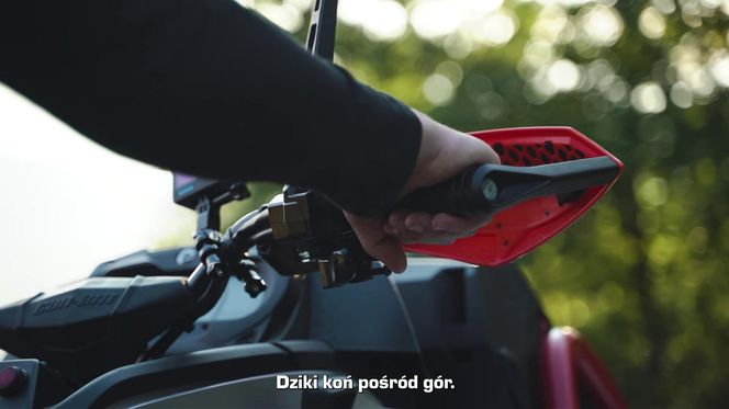 Roberto Soldić pokazał swojego "potwora"