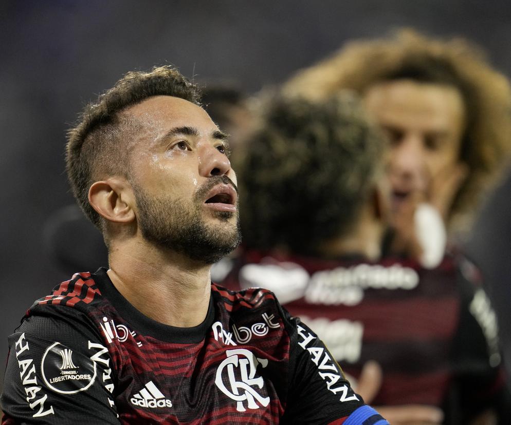 Everton Ribeiro