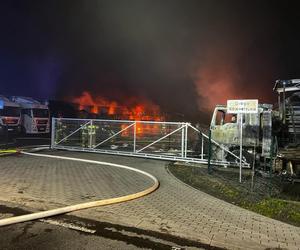 Wielki pożar w Osiecznicy na Dolnym Śląsku. Spłonęło 16 ciężarówek