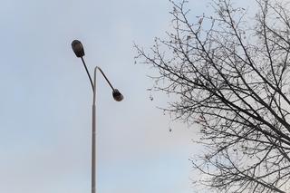 Dąbrowa Tarnowska: Oszczędności z gaszenia lamp w mieście pokryją koszty oświetlenia obwodnicy