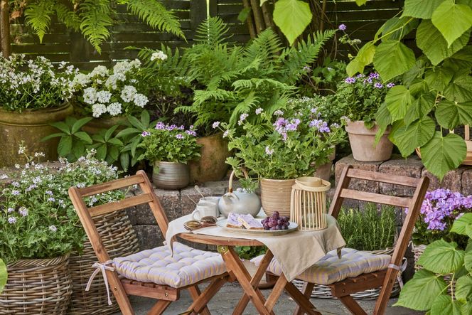 Pomysłowe aranżacje z pelargoniami w roli głównej