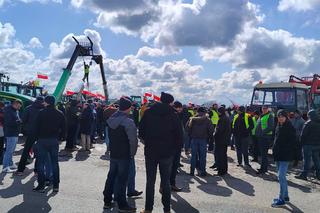 Ukrzyżowanie, bałwany i setki ciągników. Tak wyglądał protest rolniczy [ZDJĘCIA]