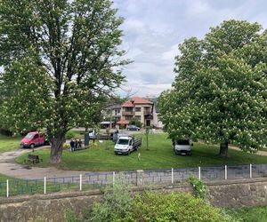 Będzie kolejny park kieszonkowy w Nowym Sączu.  Zobacz gdzie