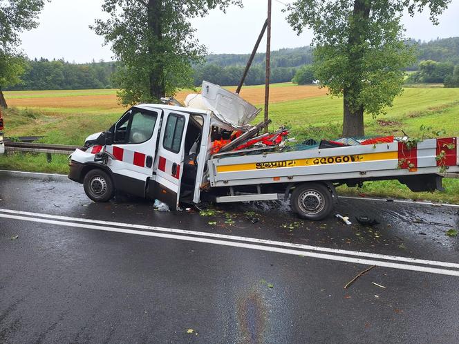 Drzewo spadło na busa służby drogowej. 56-latek nie żyje, cztery osoby ranne