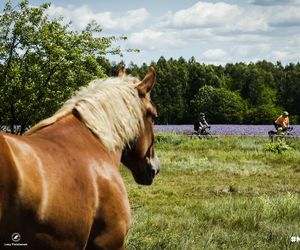 Ultra Duch Puszczy – sześć tras, tysiące emocji i jeden Duch, który jednoczy ludzi i rowery