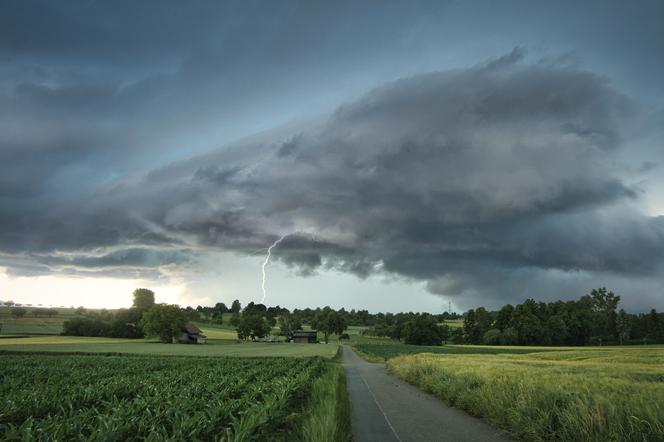 Orkan Dudley w Polsce. To będzie pogodowy armagedon! Wichury do 150 km/h i kompletny paraliż. To już kwestia godzin