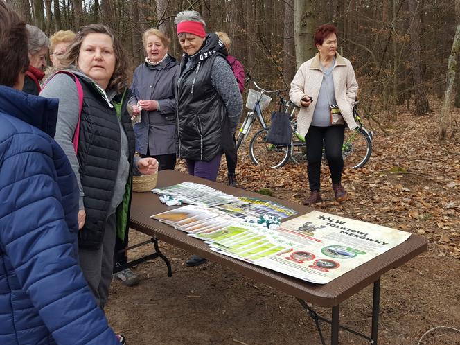 Posadzili kawałek lasu w miejscu wyciętego