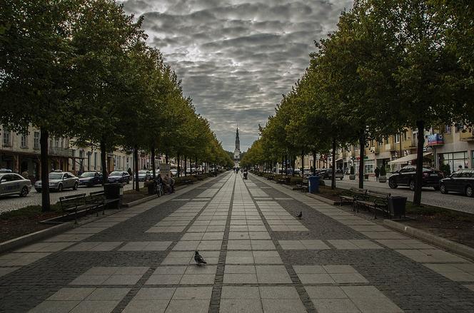 6. Częstochowa: 395, 781 zł na mieszkańca