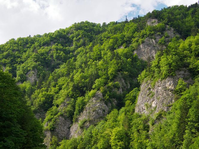 Pieniny Spiskie. Jedna z najmniej znanych część Małopolski kryje niezwykłą historię