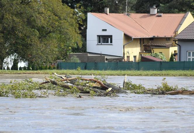 Ulewy uderzają w kolejne miejscowości. Lubrza i Chałupki zalane