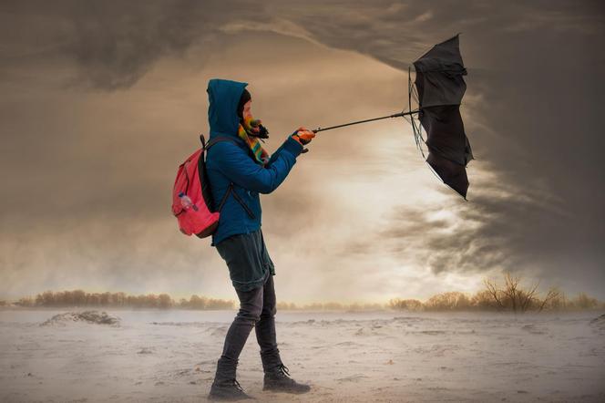 Bezlistosne wichury doprowadzą do paraliżu?! Ta prognoza może przerażać. Temperatura będzie szaleć