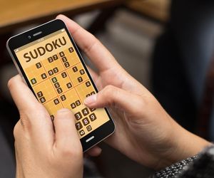Sudoku, test kolorów Stroopa i liczenie zwierząt. Sprawdź, czy szwankuje ci pamięć