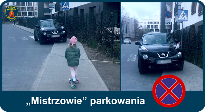 Mistrzowie parkowania. Tak kierowcy parkują w Warszawie