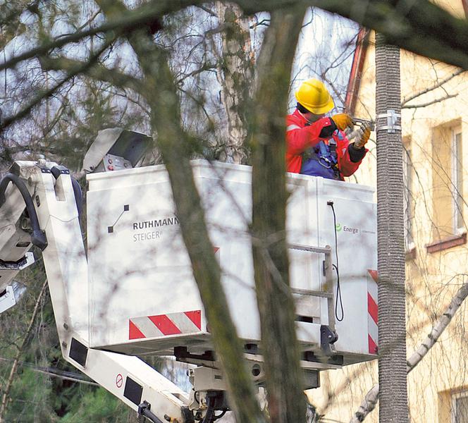 BOR zamieszkał obok Tuska