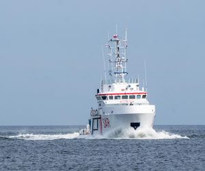 Balex Delta 2025