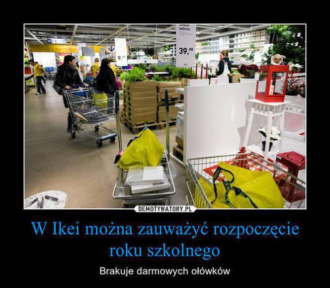 Szkoła a koronawirus: MEMY. Wrzesień w szkole w oczach internautów [ZDJĘCIA]