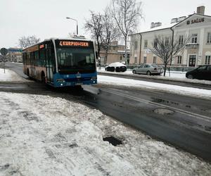 Zimowe klimaty w Siedlcach. Zobacz zdjęcia!